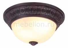 Накладной светильник Piatti A8007PL-2CK Arte Lamp