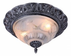 Накладной светильник Piatti A8001PL-2SB Arte Lamp