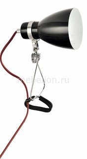 Настольная лампа декоративная Dorm A1409LT-1BK Arte Lamp