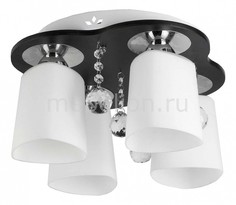 Накладной светильник Marsha TL2680X-04WC Top Light