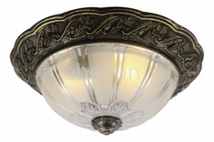 Накладной светильник Piatti A8003PL-2AB Arte Lamp