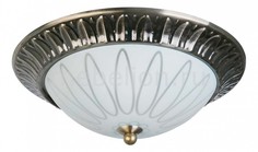 Накладной светильник Paulina TL5050Y-02AB Top Light