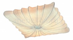 Накладной светильник Tela SL356.552.08 St Luce