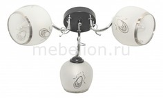 Потолочная люстра Krystal TL7400X-03BC Top Light
