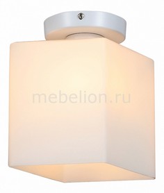 Накладной светильник Aspetto SL548.501.01 St Luce
