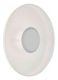 Накладной светильник SL925.501.01 St Luce