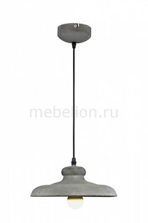 Подвесной светильник Loft A5025SP-1BG Arte Lamp