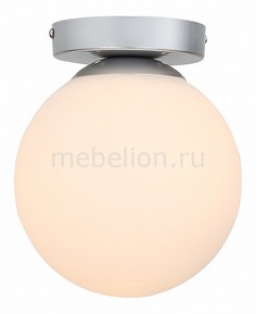 Накладной светильник Acini SL717.501.01 St Luce