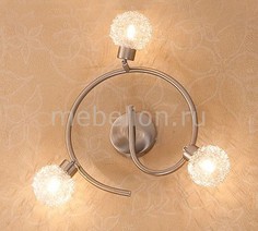 Спот Юджин CL521531 Citilux