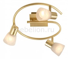 Спот Raider 54540-3 Globo