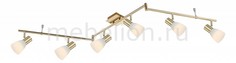 Спот Raider I 54538-6 Globo