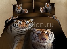 Комплект евростандарт Amurskie Tigri Buenas Noches