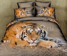 Комплект евростандарт Tiger Buenas Noches