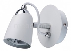Спот Астор 5 545021301 Mw Light