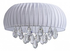 Накладной светильник Жаклин 4 465013614 Mw Light