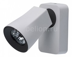 Спот Астор 4 545021001 Mw Light