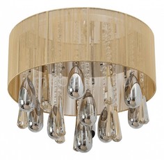 Накладной светильник Жаклин 2 465010409 Mw Light