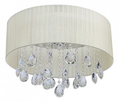 Накладной светильник Жаклин 465014706 Mw Light