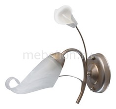 Бра Восторг 19 242026601 Mw Light