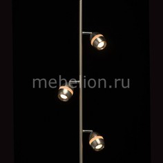 Торшер Этингер 704040503 De Markt
