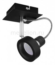 Спот Varieta 16 210117 Lightstar