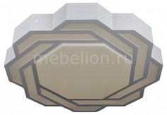 Накладной светильник OML-43607-59 Omnilux