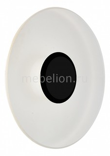 Накладной светильник SL925.401.01 St Luce