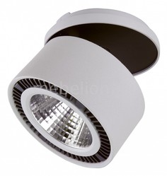 Спот Forte Inca LED 213820 Lightstar