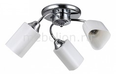 Потолочная люстра Ricco TC-995-503 Toscom
