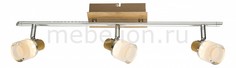 Спот Alonis 56000-3 Globo