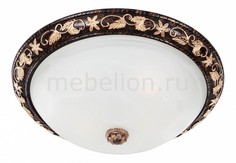 Накладной светильник Plafond 1445-4C Favourite