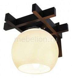 Накладной светильник Виола 196-42-11W Дубравия