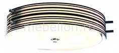 Накладной светильник Heggia SL484.542.06 St Luce