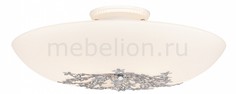 Накладной светильник Verbena 836.50.5 Silver Light