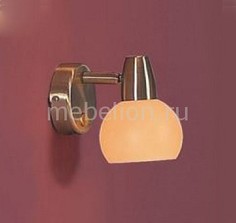 Бра Бонго CL516513 Citilux