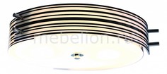 Накладной светильник Heggia SL484.542.04 St Luce