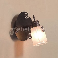 Спот Верона CL513511 Citilux