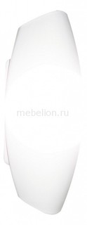 Накладной светильник Aqua A6940AP-1WH Arte Lamp