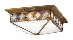 Накладной светильник Morne 2544/4 Odeon Light