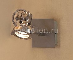 Спот Терминатор CL515511 Citilux