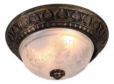 Накладной светильник Piatti A8005PL-2BN Arte Lamp