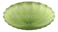 Накладной светильник OML-422 OML-42217-08 Omnilux