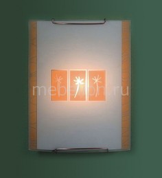 Накладной светильник Гоби Кирпичный 921 CL921041 Citilux