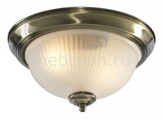 Накладной светильник Aqua A9370PL-2AB Arte Lamp
