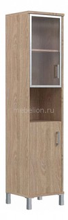 Шкаф комбинированный Skyland Born B 431.9