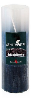 Свеча ароматическая (15 см) Sentimental 06738 Гифтман
