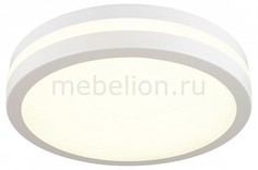 Накладной светильник OML-43 OML-43407-34 Omnilux