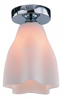Накладной светильник Canzone A3469PL-1CC Arte Lamp