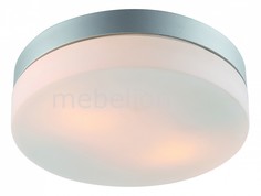 Накладной светильник Aqua A3211PL-2SI Arte Lamp