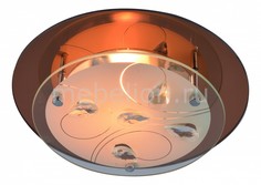 Накладной светильник Tiana A4043PL-1CC Arte Lamp